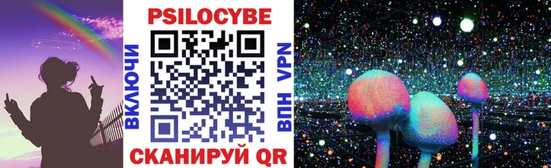 Псилоцибиновые грибы Psilocybe  МЕГА маркетплейс  Кизляр 